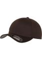FlexFit Cap
