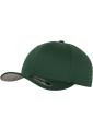 FlexFit Cap