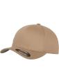 FlexFit Cap