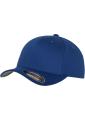 FlexFit Cap