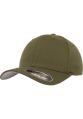 FlexFit Cap