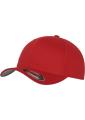 FlexFit Cap